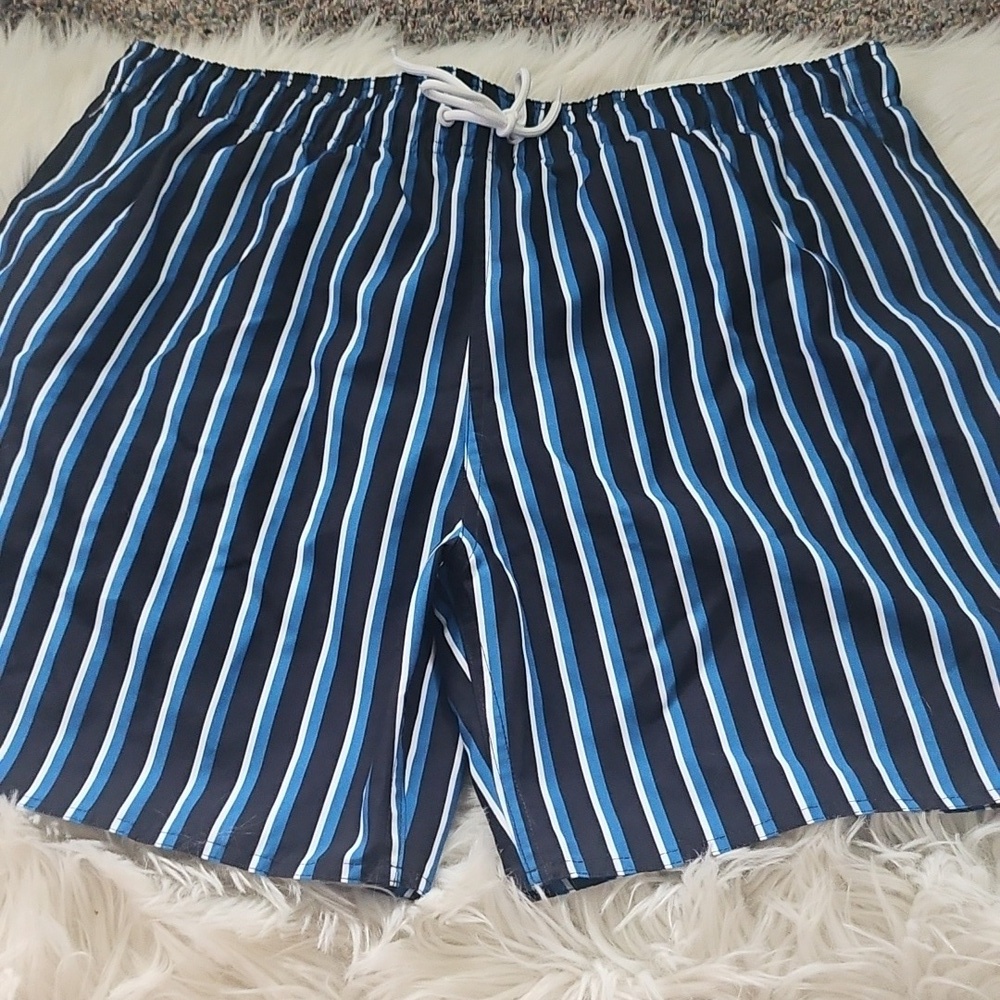 Arizona Striped Swim Shorts with 6.5" Inseam NWT - Picture 2 of 9